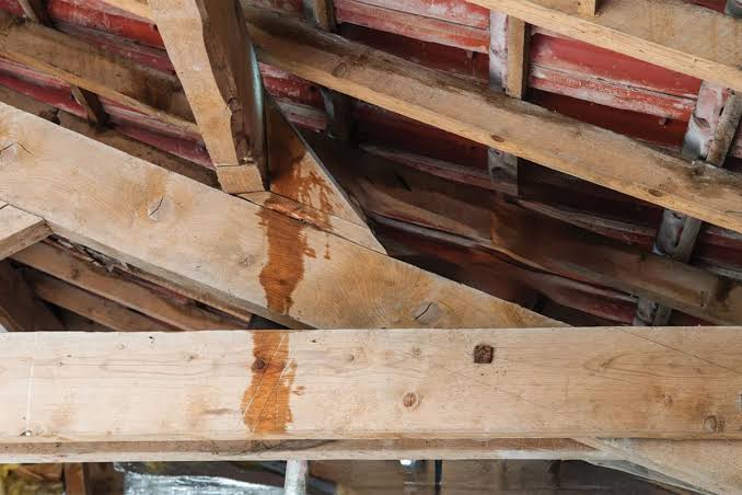 Traitement d'infiltration sur une toiture en Nouvelle-Aquitaine